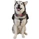 Ultimate Direction рюкзак для собак Dog Vest - 4
