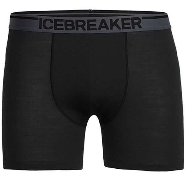 Icebreaker боксеры Bodyfit 150 Anatomica black L